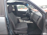 Ford Escape Xlt 1FMCU0D74BKA68278 fotografie