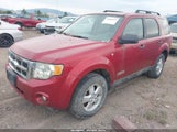 Ford Escape Xlt 1FMCU93108KC98748 снимка