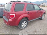 Ford Escape Xlt 1FMCU93108KC98748 снимка