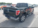 Ford F-150 Xlt 1FTFW1EF6DFC11332 снимка