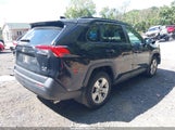 Toyota Rav4 Xle 2T3P1RFV1LC113427 снимка