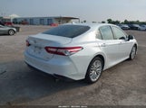 Toyota Camry Xle 4T1B11HK3KU738481 photo
