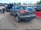 Ford Escape S 1FMCU0F76EUD77823 fotografie