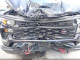 Chevrolet Silverado  4Wd Short Bed Custom Trail Boss 3GCPDCEK9RG305410 photo