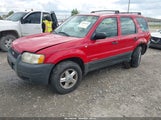 Ford Escape Xls 1FMYU02101KA19615 снимка