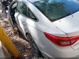 Hyundai Sonata Sport 5NPE34AF7HH467972 photo