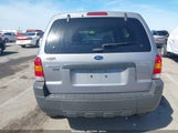 Ford Escape Xlt/Xlt Sport 1FMYU031X7KC09316 fotografie