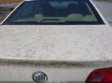 Buick Lucerne Cxl 1G4HC5EM9AU131498 снимка