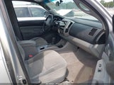 Toyota Tacoma Prerunner V6 3TMKU72N88M015384 photo