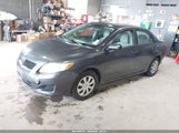 Toyota Corolla 1NXBU4EE4AZ323014 снимка