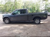 Ford F-150 Xlt 1FTEX1CP8HFB35218 снимка