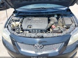 Toyota Corolla S 2T1BU4EE7AC526013 fotografie