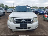 Ford Escape Xlt 1FMCU03G09KC37384 снимка