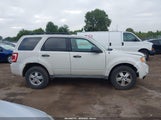 Ford Escape Xlt 1FMCU03G09KC37384 снимка