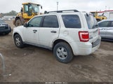 Ford Escape Xlt 1FMCU03G09KC37384 снимка