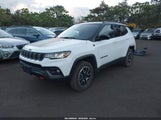 Jeep Compass Trailhawk 4X4 3C4NJDDN7RT144869 снимка