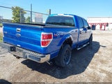 Ford F-150 Fx4/King Ranch/Lariat/Platinum/Xl/Xlt 1FTPW14V49FB42158 photo