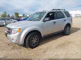 Ford Escape Xlt 1FMCU9DG7BKA79666 fotografie