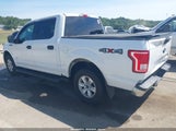 Ford F-150 Xlt 1FTEW1EPXHFC63184 снимка