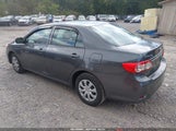 Toyota Corolla L 2T1BU4EE3DC105166 fotografie
