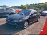 Acura Tsx JH4CL96824C005094 снимка