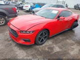 Ford Mustang Ecoboost Fastback 1FA6P8TH5R5106939 снимка