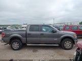 Ford F-150 Xlt 1FTFW1ET5CKE22016 снимка