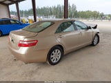 Toyota Camry Xle 4T1BE46K09U403763 photo