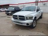 Dodge Ram  St 1D7HA18N56S708236 fotografie