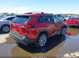 Toyota Rav4 Xle Premium 2T3C1RFV2KW053136 снимка
