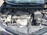 Toyota Rav4 Xle 2T3RFREV1HW575715 fotografie