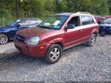 Hyundai Tucson Gls KM8JM12B77U587423 снимка