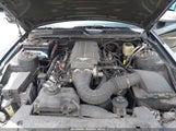 Ford Mustang Gt Deluxe/Gt Premium 1ZVHT85H185127553 photo