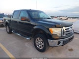 Ford F-150 King Ranch/Lariat/Platinum/Xl/Xlt 1FTPW12V39FB09753 photo