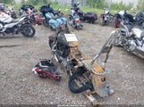 Miniaturka zdjęcia 3