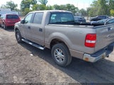 Ford F-150 Fx4/Lariat/Xlt 1FTPW14506KA66960 fotografie