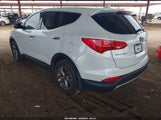 Hyundai Santa Fe Sport 2.4L 5XYZTDLB5GG368326 снимка
