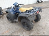 Honda Trx500 Fa 1HFTE260X74606173 снимка