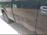 Ford F-150 Xlt 1FTFW1ET7DFC98129 снимка