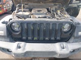 Jeep Wrangler Unlimited Sport Altitude 4X4 1C4HJXDN7MW505566 fotografie