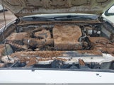 Toyota Tacoma Sr5 V6 3TMAZ5CNXKM107636 photo