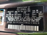 Kia Telluride Sx 5XYP5DHC9NG219823 photo