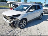 Miniaturka zdjęcia 2
