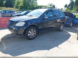 Mercedes-Benz Ml 350 4Matic 4JGBB86E76A096566 снимка