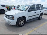 Chevrolet Trailblazer Ls 1GNDT13S352375735 снимка