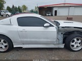 Ford Mustang Gt 1ZVBP8CF0E5202704 снимка