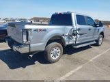Ford F-250 Xl 1FT7W2BN3MEE14500 photo