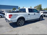 Ford F-150 Xlt 1FTFW1ET0DKD84504 снимка