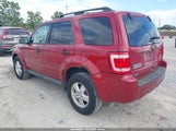 Ford Escape Xlt 1FMCU0D72CKA99899 fotografie