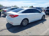 Hyundai Sonata Sport 5NPE34AF1HH555562 снимка